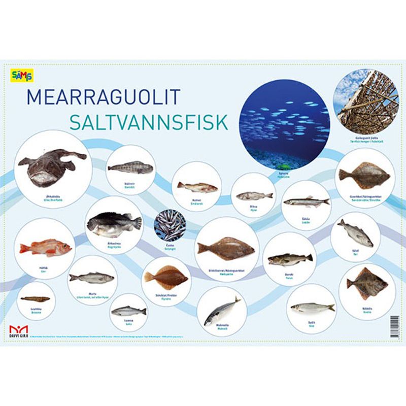 Plakater nordsamisk-norsk