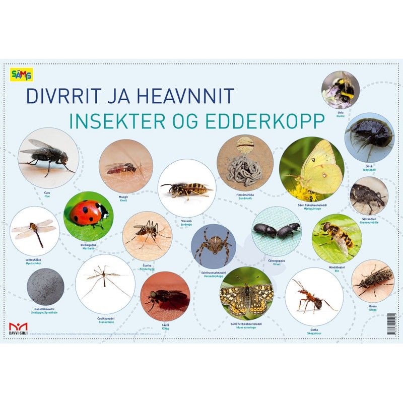 Plakater nordsamisk-norsk